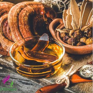 LINGZHI TEA AT SHEMARTGLOBAL