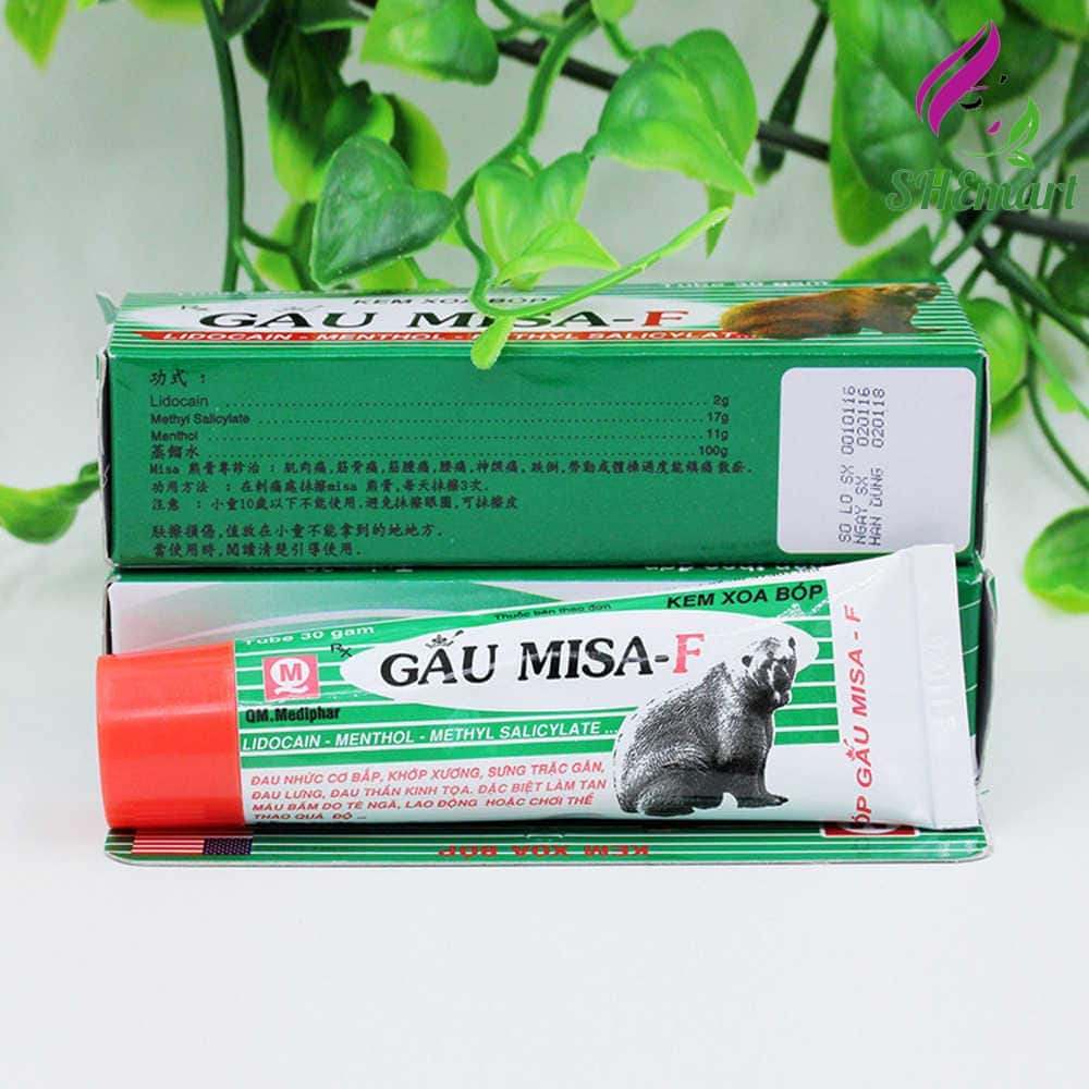 Gau Misa – Bear bile ointment, Treatment of muscle aches, Back pain – 30g