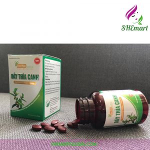 Day Thia Canh – Support to stabilize blood sugar, Gymnema sylvestre extract – 60 capsules Viet Nam