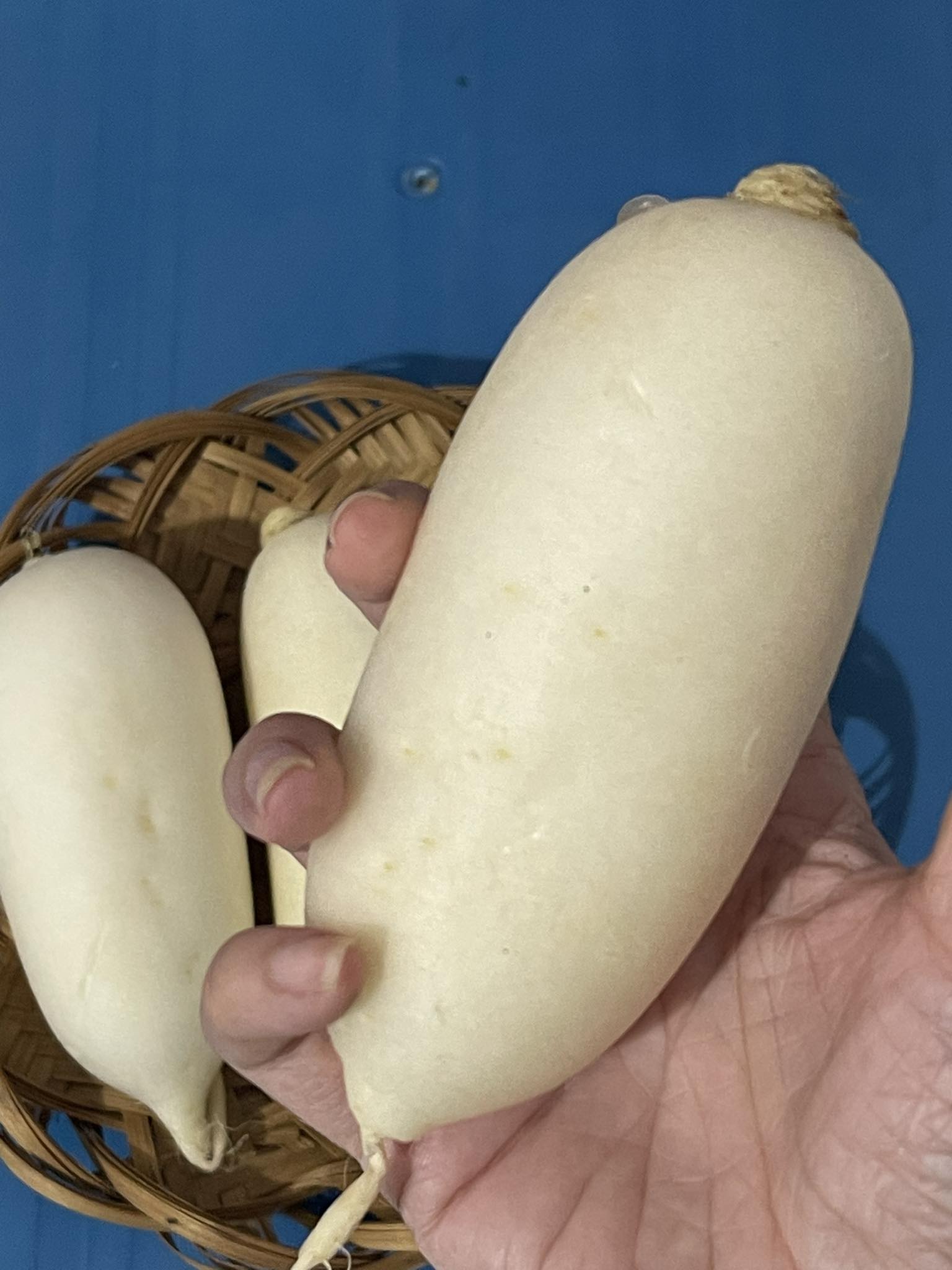 Nutritional value of white radish