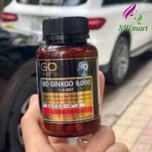 Ginkgo brain supplement go healthy 9000 Australia 60 tablets, stimulates blood flow, nourishes the brain, improves memory, increases concentration