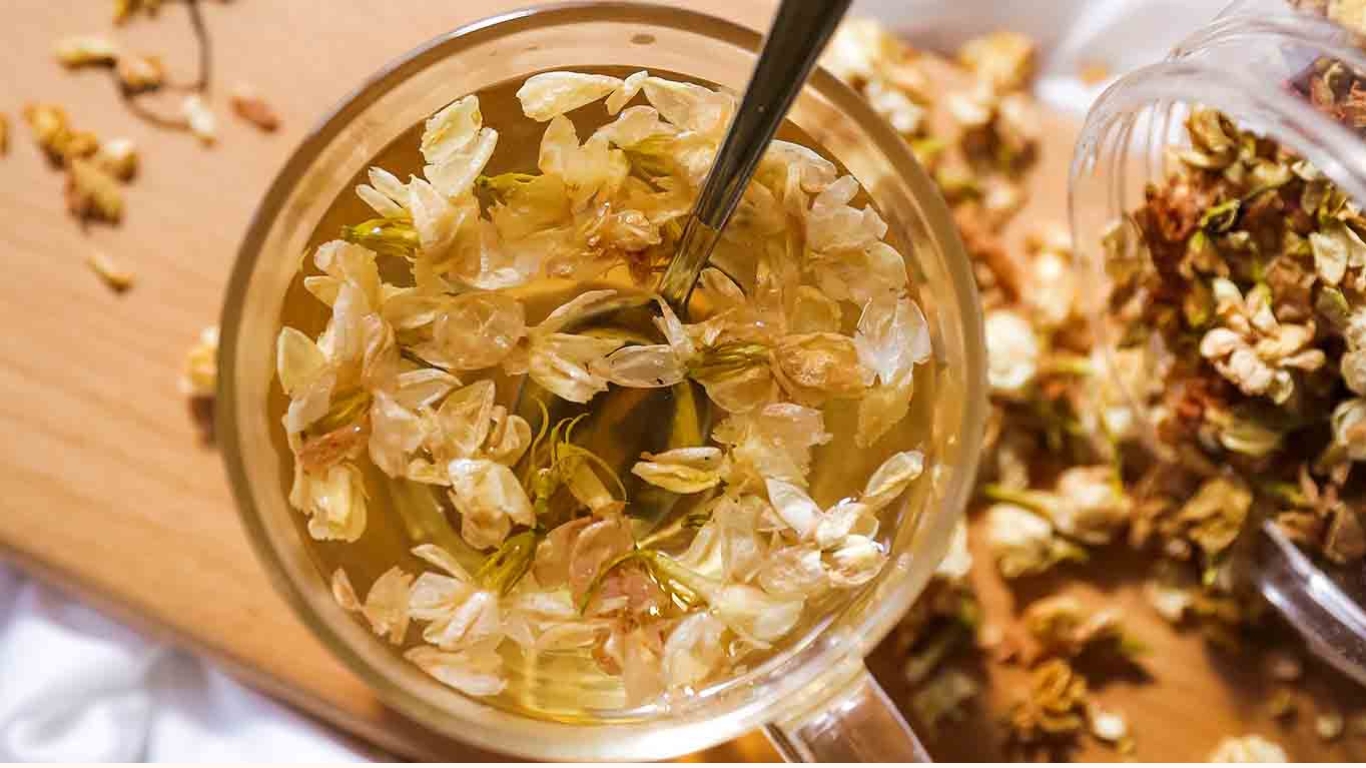  Jasmine Tea: A Renowned Floral-Infused Tea of Vietnam Jasmine tea, also known as "trà hoa nhài" or "trà hoa lài," is one of Vietnam's most famous flower-infused teas, celebrated for its sweet and alluring fragrance. This tea is crafted by blending Thai Nguyen green tea with fresh jasmine flowers, followed by a meticulous curing process. The result is a beverage that combines the floral aroma of jasmine with a mild initial astringency and a lingering, refreshing sweetness. Jasmine tea is not only appreciated for its delightful taste but also for its health benefits, thanks to the nutrients and beneficial compounds found in both green tea and jasmine flowers. The tea contains caffeine and L-theanine, two compounds that work together to enhance brain function. These substances help reduce stress, alleviate nervous tension, and improve memory, making jasmine tea both a comforting and health-boosting beverage. How to Make Dried Jasmine Tea and Jasmine-Infused Green Tea How to Make Dried Jasmine Tea Ingredients Needed: Fresh jasmine flowers: Any desired amount (choose freshly picked flowers that are not wilted or damaged). Steps to Prepare: Step 1. Washing the Jasmine Flowers: Gently rinse freshly picked jasmine flowers to remove any dirt or impurities. Be careful not to crush or damage the flowers during washing. Place the washed flowers in a basket and let them air dry in a cool, ventilated area. Step 2. Drying the Jasmine Flowers: Using a Dehydrator or Oven: Place the flowers in a dehydrator or oven at 70°C (158°F) and dry for 1 to 2 hours. Using Sunlight: Spread the flowers evenly on a bamboo tray, basket, or plate, and dry them under direct sunlight for 2 to 3 days. Step 3. Checking for Dryness: Drying time depends on the size and openness of the flowers. If using unopened flower buds, drying will take longer. Check regularly to ensure the flowers reach the desired dryness, where petals become light yellow and crisp. Step 4. Final Product: Once the flowers are about 90% dry, remove them from the oven or tray. Spread them out on a bamboo tray to cool naturally. The dried jasmine flowers can be stored for long-term use and provide a fragrant and delightful flavor when brewed. How to Store Dried Jasmine Tea After Preparation Avoid Sunlight: Keep the tea in a cool, dry, and shaded place. Use Airtight Containers: Store in glass jars with tight lids to preserve aroma and freshness. Refrigeration Option: Wrap the tea in newspaper and store it in the refrigerator for extended freshness. 