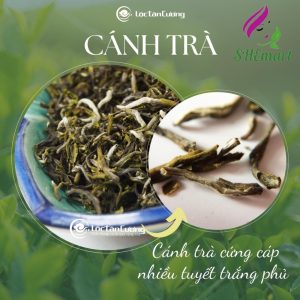 Tà Xùa Shan Tuyết Tea 100gr – A Masterpiece of Nature