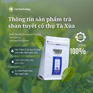 Tà Xùa Shan Tuyết Tea 100gr – A Masterpiece of Nature