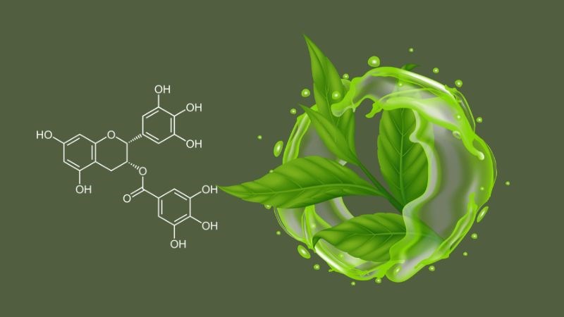 Green Tea Benefits for Your Health