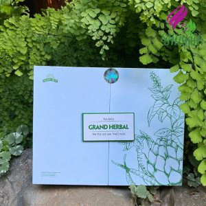 Dai Herbal Tea – A harmonious combination of four precious herbs Artichoke, Cordyceps, Codonopsis and Stevia (100 tea bags) (6)