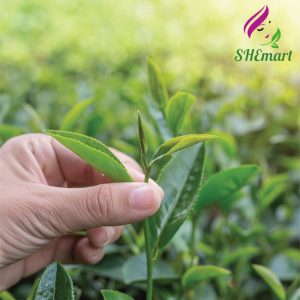 Cau Dat Jasmine Tea – DalatFarm 150g helps cool the body