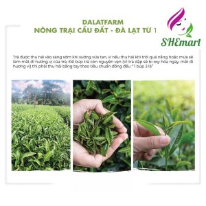 Cầu Đất Oolong Kim Tuyên Tea 220gr
