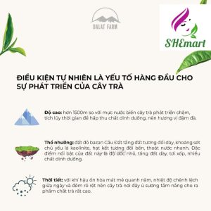 Cầu Đất Oolong Kim Tuyên Tea 220gr