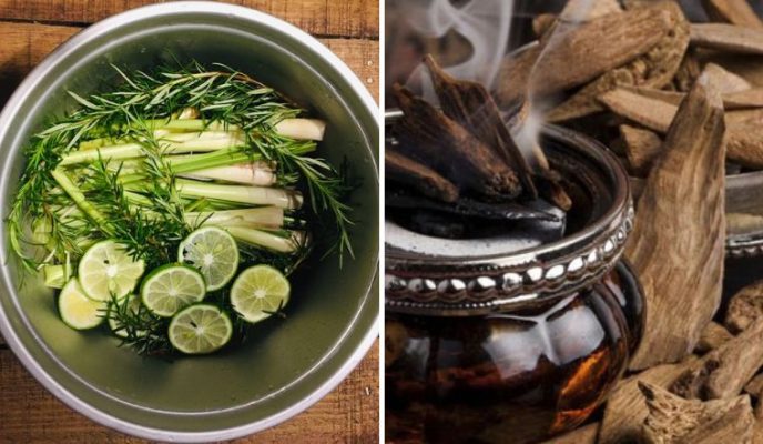 Herbal Cleansing: A Natural Way to Purify Your Living Space