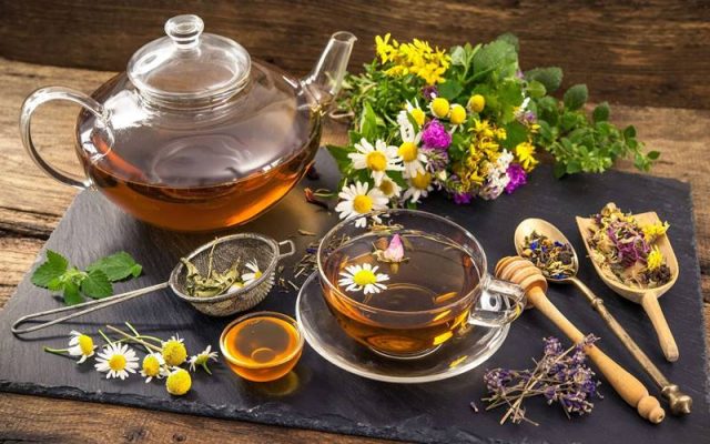 Herbal Cleansing: A Natural Way to Purify Your Living Space