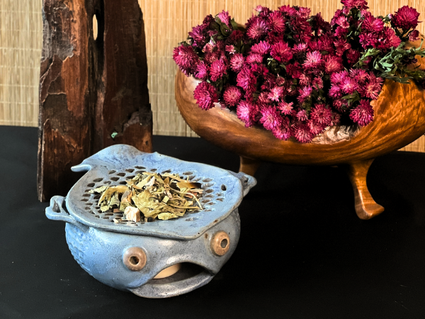 Herbal Cleansing: A Natural Way to Purify Your Living Space